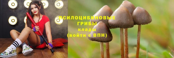 MDMA Premium VHQ Богородицк